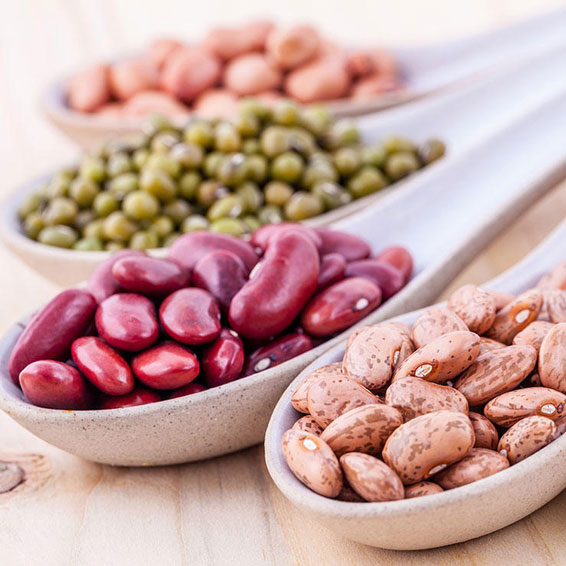 نقش حبوبات در کاهش چربی خون