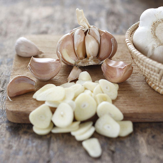 سیر یک داروی گیاهی برای کاهش چربی خون