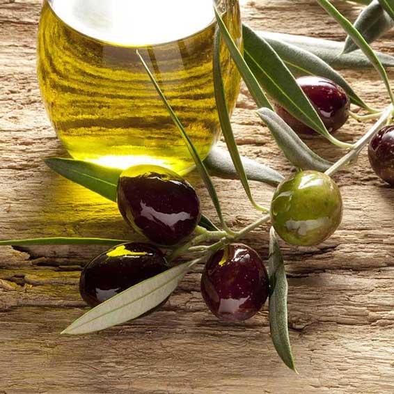 برای کاهش کلسترول روغن زیتون فراموش نشود